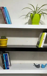 دراور و کتابخانه