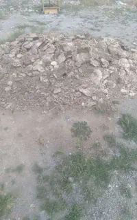 پهن گوسفندی