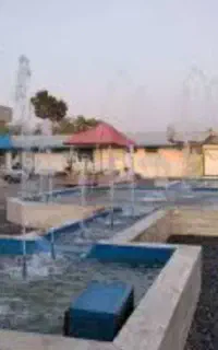 استخدام پاک شدگان از دام مخدر