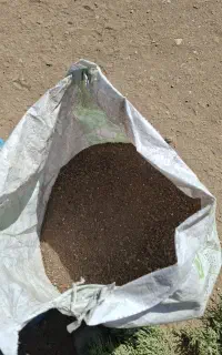 کود مرغ