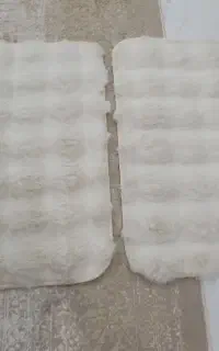 پادری .