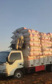 کاه کردستان