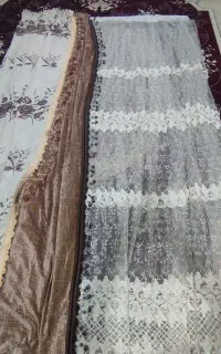 پرده پزیرای درحد نو