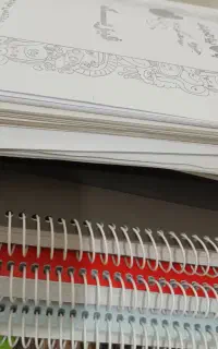 جزوات کنکوری و نهایی زیست حنیف معین کرمی یحیوی