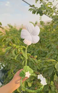 چراغ خواب