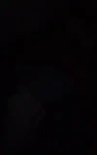 شماره موبایل رند