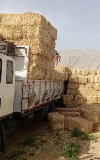 کاه پرس(کلش گندم)