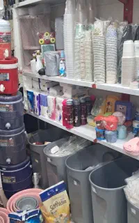 ظروف یکبار مصرف حسینی