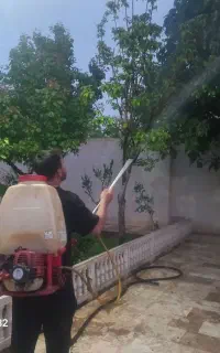 سمپاشی و باغبانی