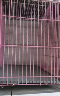 قفس پزنده