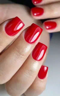 مدل جهت تکمیل آلبوم