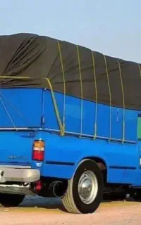 استخدام انواع وانت بار