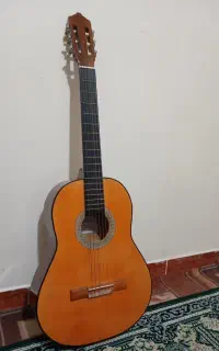گیتار MARTIN