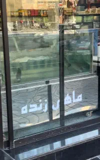 اکواریوم ماهی زنده