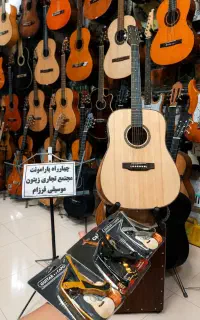 مرکز گیتار الکتریک (پخش عمده و تک۳۰درصد)