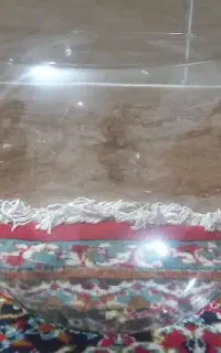 تنگ ماهی