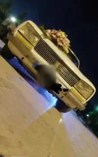 پژو 504 یک یک