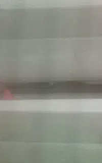 شستشوی وخشکشویی مبل.ونظافت     شرکت پویا گستر