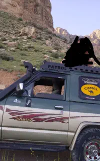 پاترول2در4سیلندرموتورZژاپن فول لوازم افرودکمپر