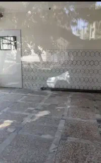 اجاره مغازه در عباسی