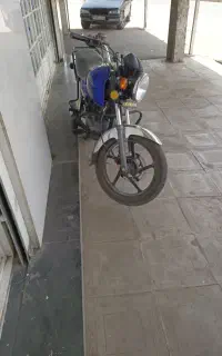 کبوتر فروشی موتو220