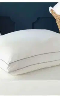بالشت طبی