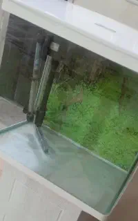 اکواریوم ماهی درحد نو