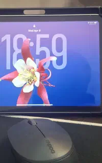 ایپد مینی ۷