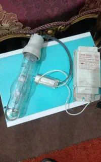 لامپ خیاری