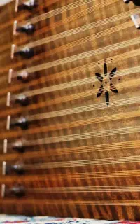 آموزش کامل سنتور ماهی ۶۰۰ تومن