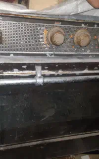 فرگاز پادیسان