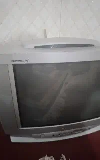 تلوزیون