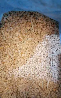 نخود لپه ریز محلی
