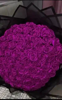 گل رز روبانی