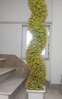 گل مصنوعی پیچی