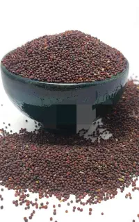 تخم درجه یک شلغم