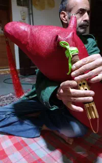 نی انبان فروشی با پوست عالی ودسته ساز مرغوب