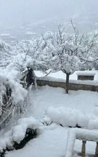 اجاره ویلایی