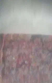 فرش دست بافت