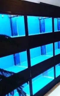 استخدام همکار خانم