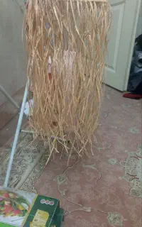 لوستر رافیا