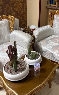 مبلمان استیل ۷ نفره فروش فوری