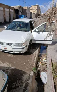 دربست همه جای ایران درختمت هستیم