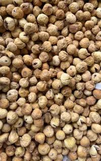 انجیر بساطی و وانتی