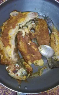 ماهی قزل الا