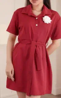 چرخکار و اطو کار