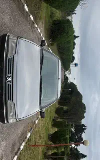 پژو 405اس مرتب