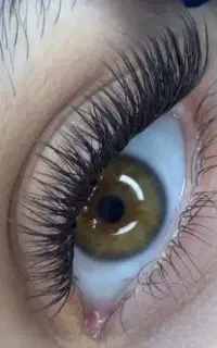 خدمات ویژه  آموزش اکستنشن مژه و کاشت مژه