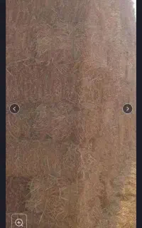 پرس سوفال جو