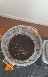 حلزون مولد و سایز های مختلف با قیمت عالی